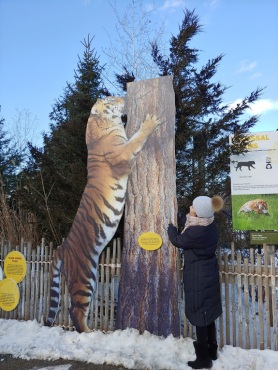 mural tiger exhibition at Toronto Zoo